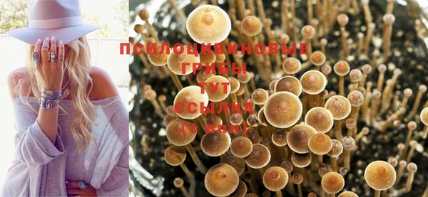 амф Алзамай