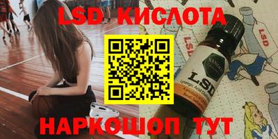 прущие грибы Можга