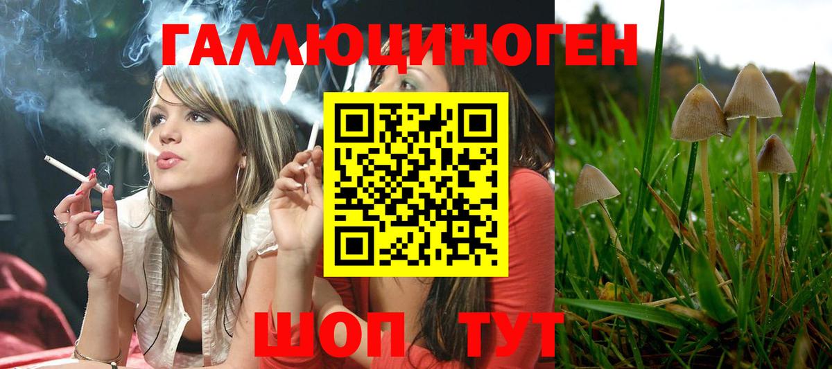 Старая Русса  купить закладку  Вход с VPN  Псилоцибиновые грибы MAGIC MUSHROOMS 