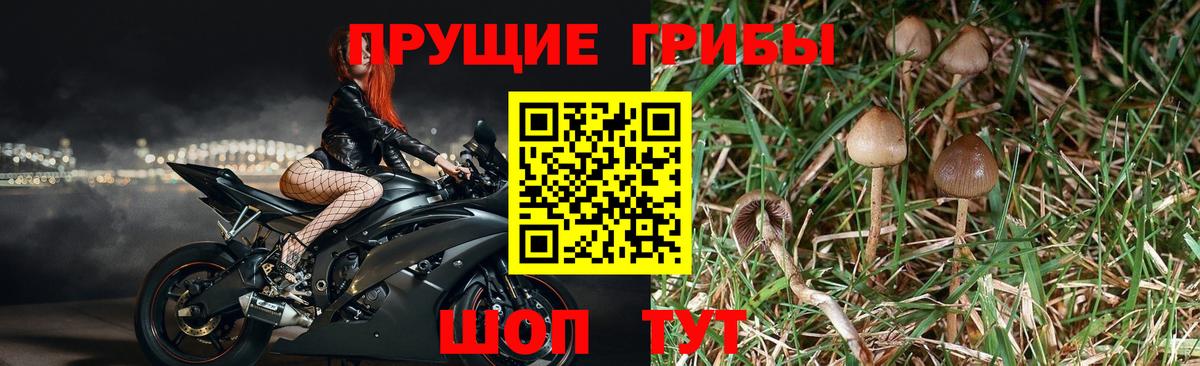 Псилоцибиновые грибы ЛСД Старая Русса