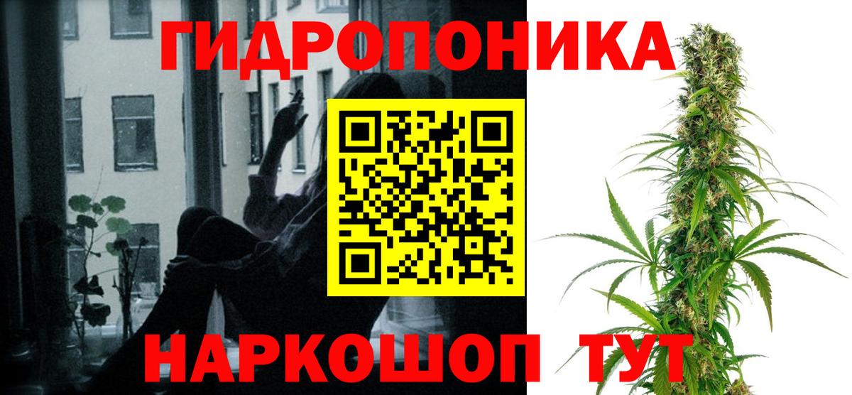 Шишки марихуана ГИДРОПОН Старая Русса